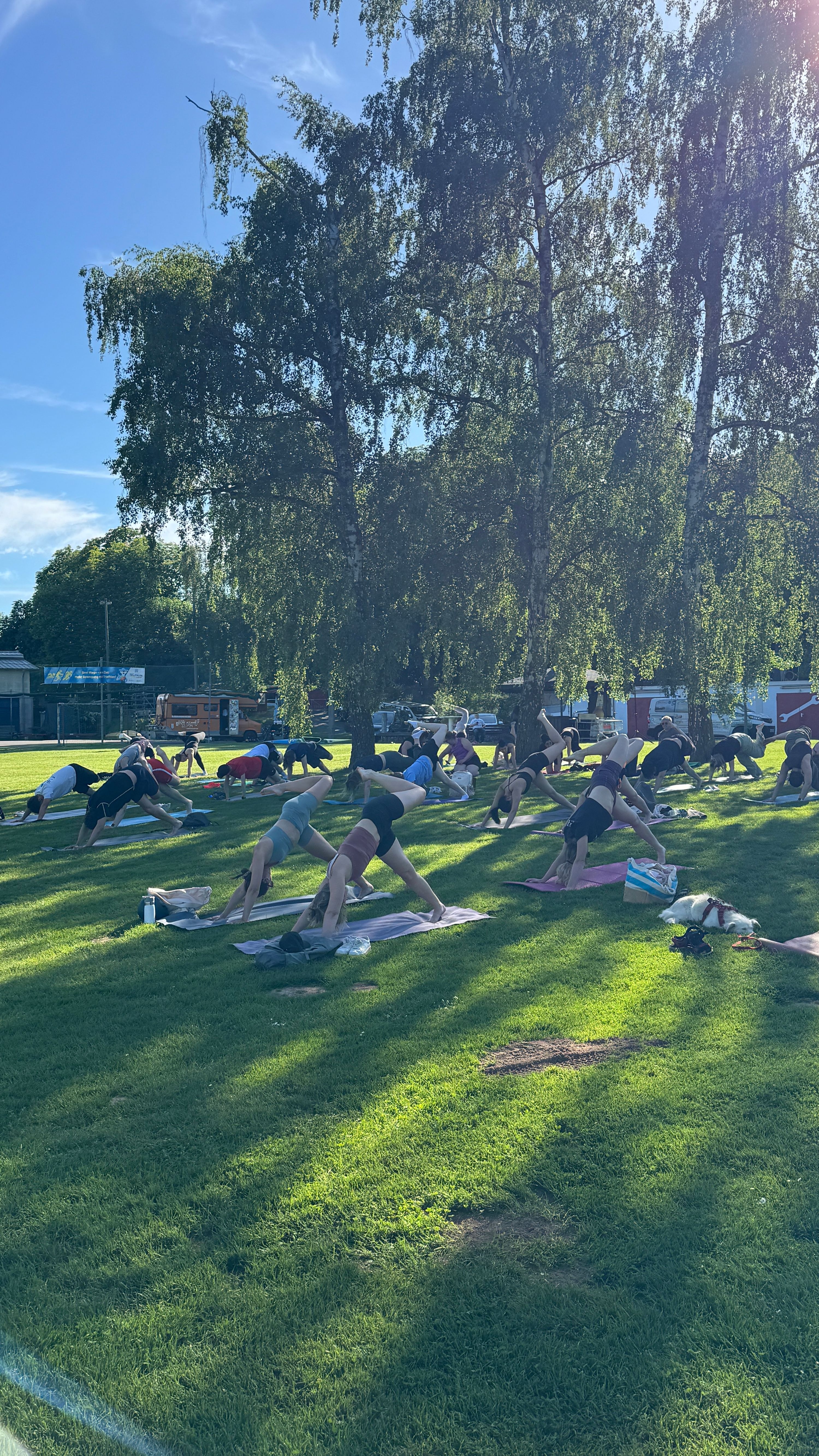 Yoga